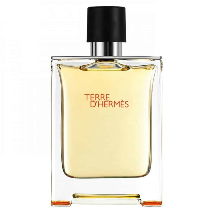 Hermes Terre d\'Hermes Edt 50ml in de groep BEAUTY & HEALTH / Geuren & Parfum / Parfum / Parfum voor hem bij TP E-commerce Nordic AB (38-58448)