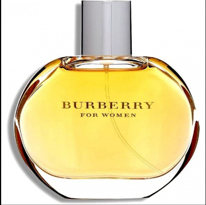 burberry for women 100 ml