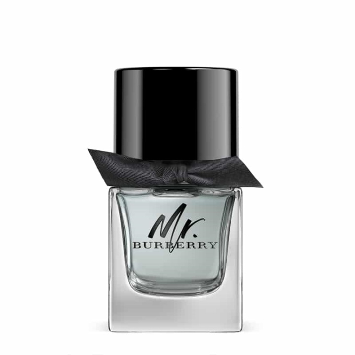 Burberry Mr. Burberry Edt 50ml in de groep BEAUTY & HEALTH / Geuren & Parfum / Parfum / Parfum voor hem bij TP E-commerce Nordic AB (38-67422)