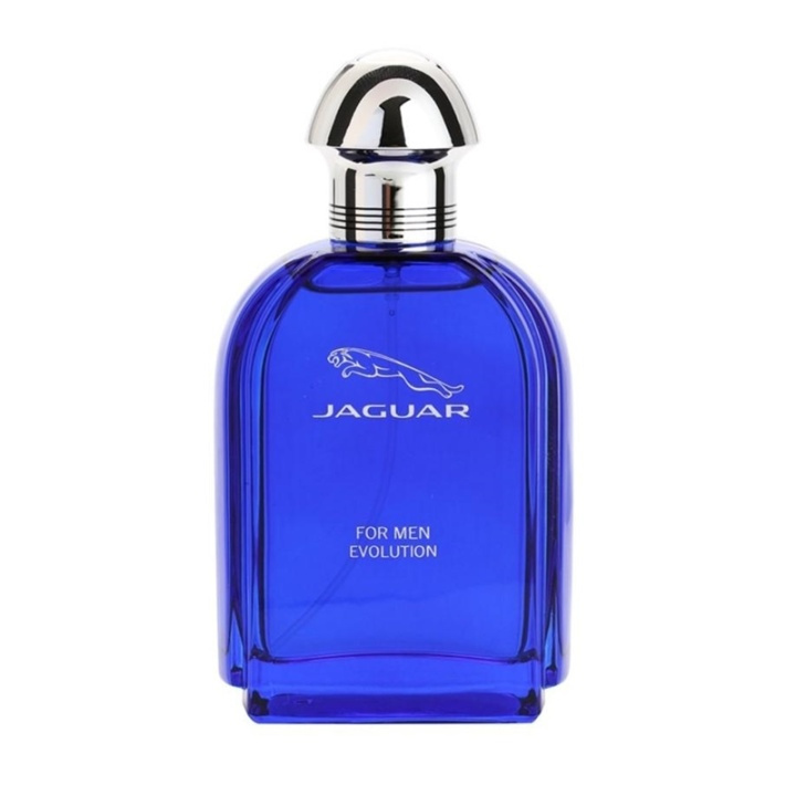 Jaguar For Men Evolution Edt 100ml in de groep BEAUTY & HEALTH / Geuren & Parfum / Parfum / Parfum voor hem bij TP E-commerce Nordic AB (A11083)