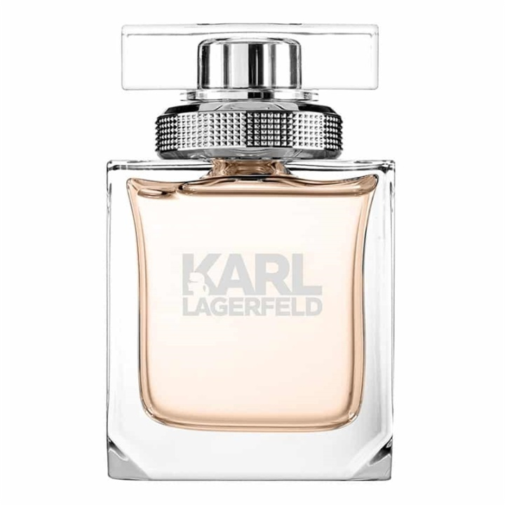 Karl Lagerfeld Pour Femme Edp 45ml in de groep BEAUTY & HEALTH / Geuren & Parfum / Parfum / Parfum voor haar bij TP E-commerce Nordic AB (A11134)