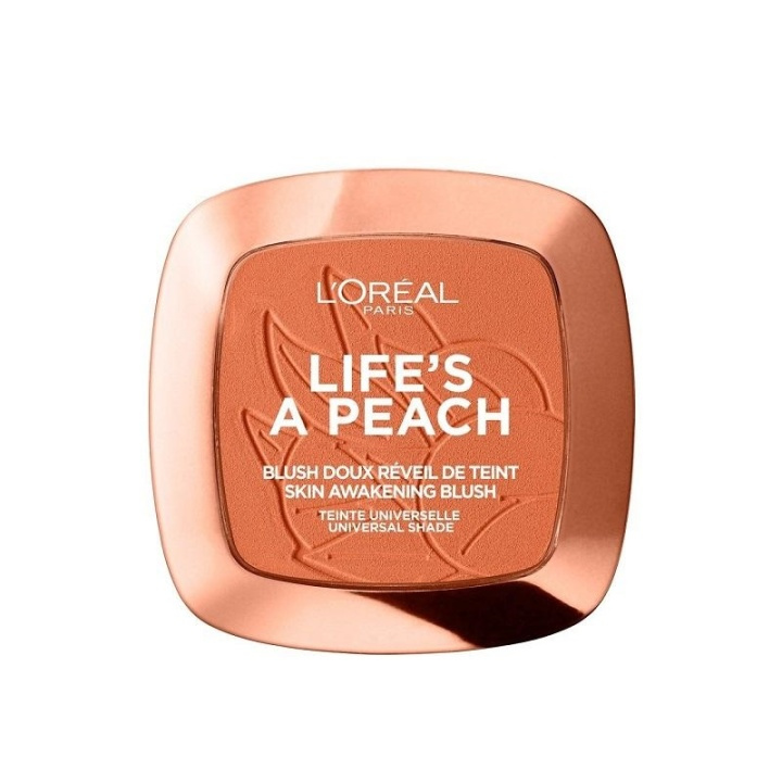 Loreal True Match Powder 1D/1W Golden Ivory in de groep BEAUTY & HEALTH / Makeup / Make-up gezicht / Rouge / Bronzer bij TP E-commerce Nordic AB (A11688)