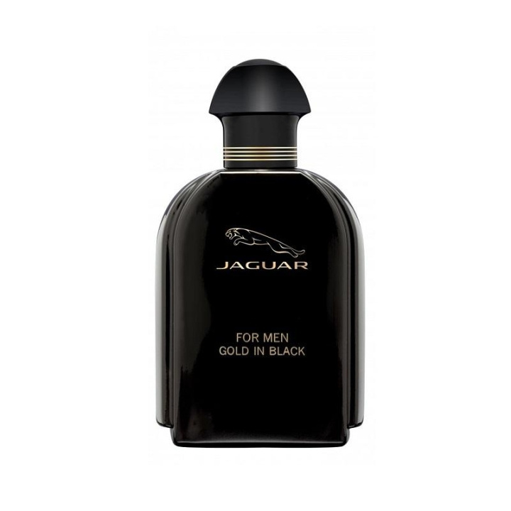 Jaguar for Men Gold In Black Edt 100ml in de groep BEAUTY & HEALTH / Geuren & Parfum / Parfum / Parfum voor hem bij TP E-commerce Nordic AB (C05066)