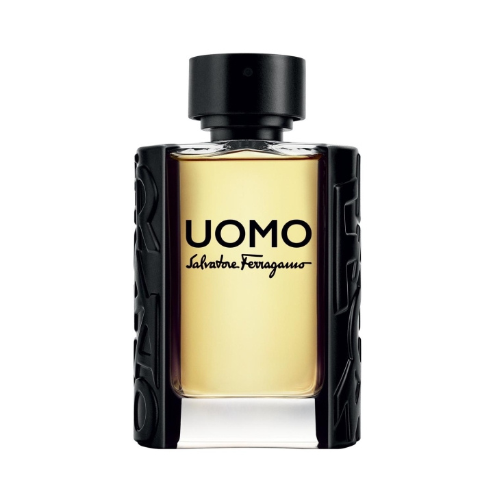 Salvatore Ferragamo Uomo Edt 100ml in de groep BEAUTY & HEALTH / Geuren & Parfum / Parfum / Parfum voor haar bij TP E-commerce Nordic AB (C10837)