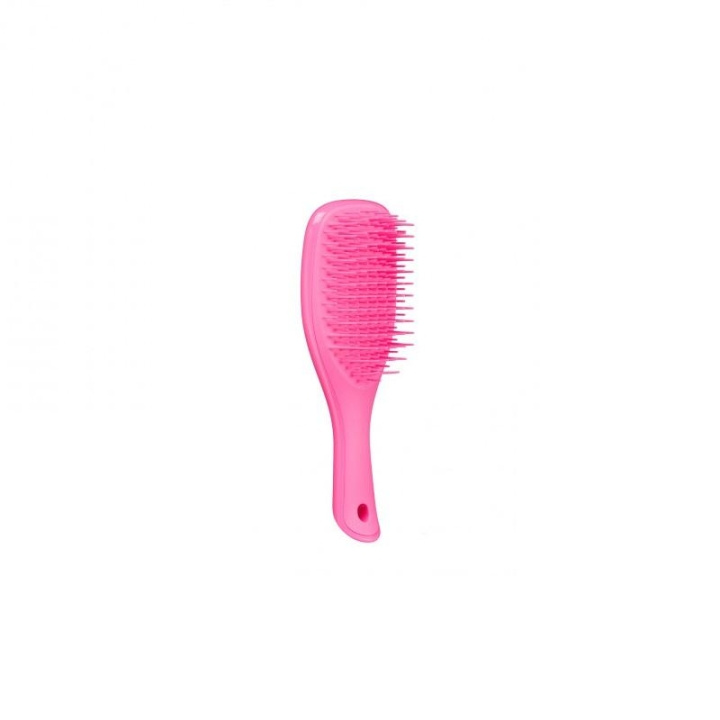 Tangle Teezer Wet Detangle Mini Pink in de groep BEAUTY & HEALTH / Haar & Styling / Haarborstels bij TP E-commerce Nordic AB (C11350)