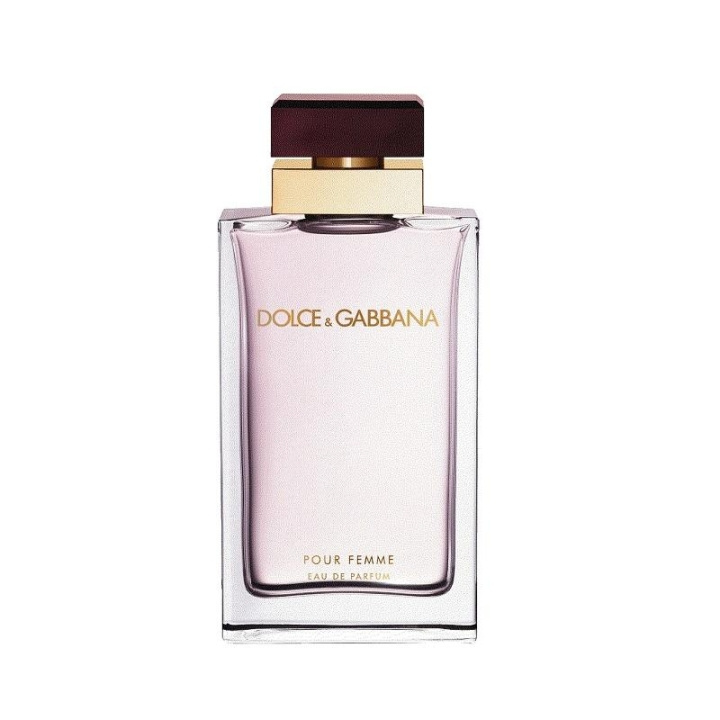 Dolce & Gabbana Pour Femme Edp 100ml in de groep BEAUTY & HEALTH / Geuren & Parfum / Parfum / Parfum voor haar bij TP E-commerce Nordic AB (C12863)