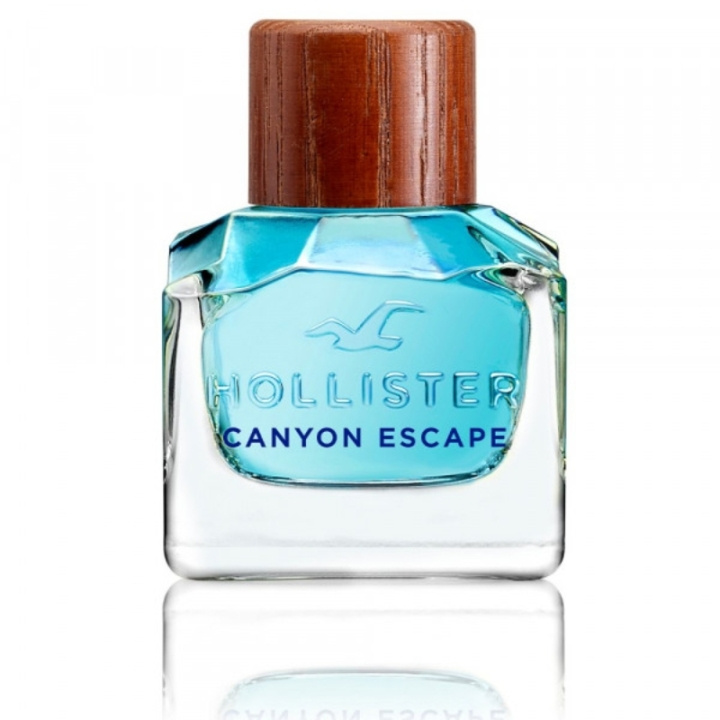 Hollister Canyon Escape For Him 50ml EDT in de groep BEAUTY & HEALTH / Geuren & Parfum / Parfum / Parfum voor hem bij TP E-commerce Nordic AB (C30447)