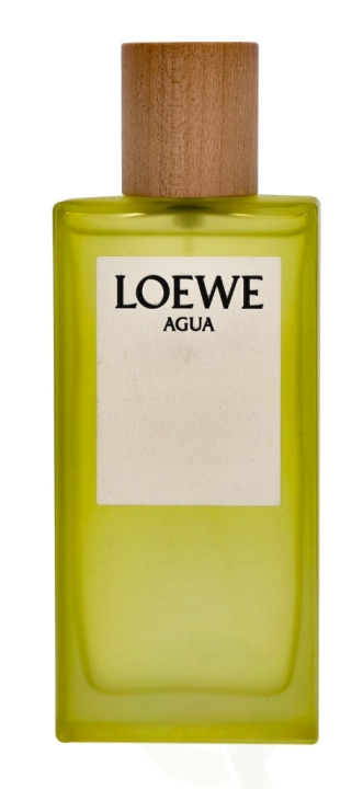 Loewe Agua Edt Spray 100 ml in de groep BEAUTY & HEALTH / Geuren & Parfum / Parfum / Parfum voor haar bij TP E-commerce Nordic AB (C34076)