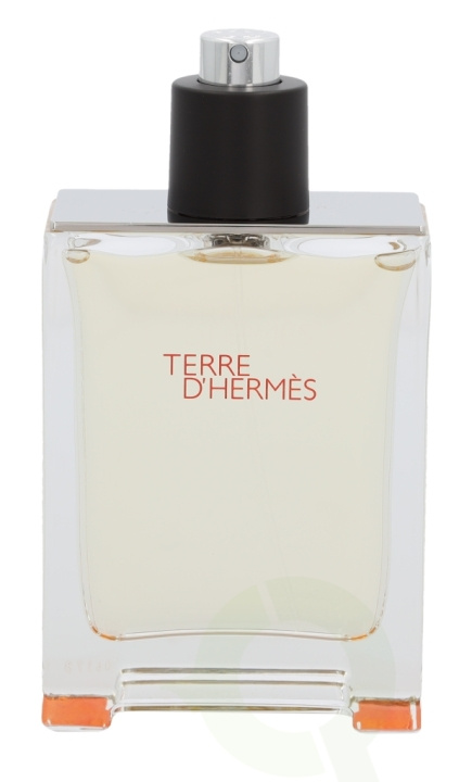 Hermes Terre D\'Hermes Edt Spray 100 ml in de groep BEAUTY & HEALTH / Geuren & Parfum / Parfum / Parfum voor hem bij TP E-commerce Nordic AB (C34507)