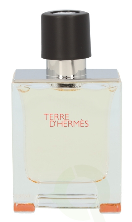 Hermes Terre D\'Hermes Edt Spray 50 ml in de groep BEAUTY & HEALTH / Geuren & Parfum / Parfum / Parfum voor hem bij TP E-commerce Nordic AB (C34508)