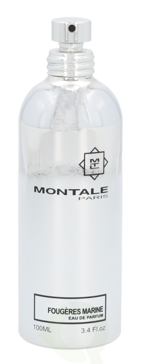 Montale Fougeres Marine Edp Spray 100 ml in de groep BEAUTY & HEALTH / Geuren & Parfum / Parfum / Unisex bij TP E-commerce Nordic AB (C35878)