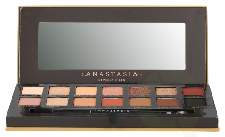 Anastasia Beverly Hills Soft Glam Eyeshadow Palette 10.3 gr 14x0,74gr/Duo Shadow Brush in de groep BEAUTY & HEALTH / Makeup / Ogen & Wenkbrauwen / Oogschaduw bij TP E-commerce Nordic AB (C42197)