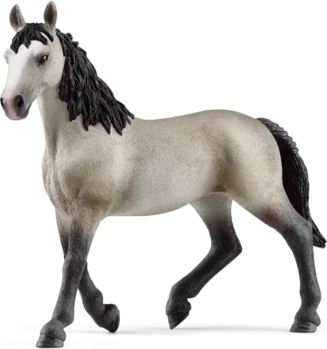 Schleich Horse Club 13955 Selle français-sto in de groep SPEELGOED, KINDER- & BABYPRODUCTEN / Speelgoed / Figuren, Miniaturen & accessoires bij TP E-commerce Nordic AB (C47856)