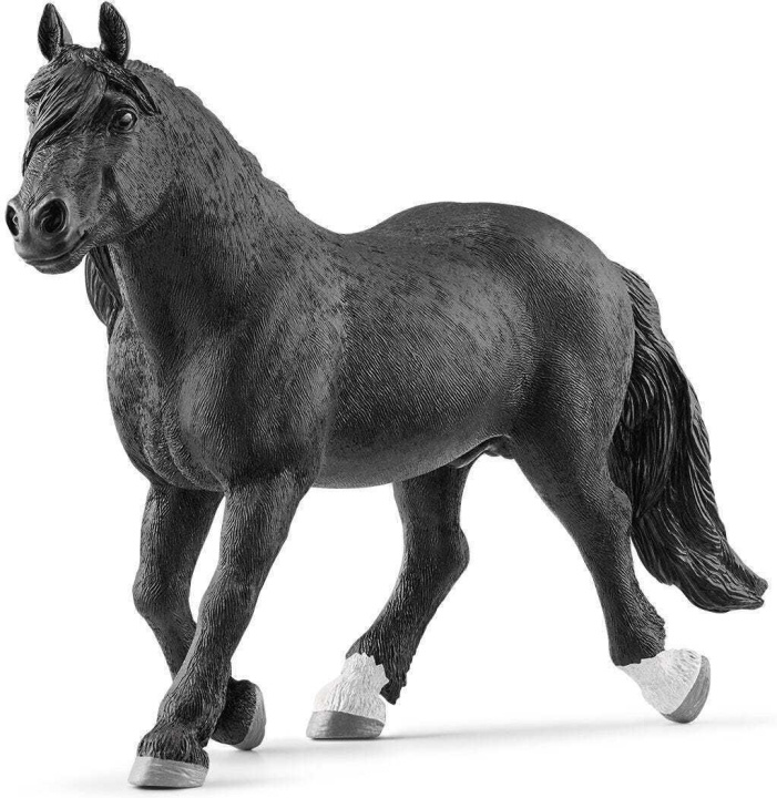 Schleich Horse Club 13958 Norikerhingst in de groep SPEELGOED, KINDER- & BABYPRODUCTEN / Speelgoed / Figuren, Miniaturen & accessoires bij TP E-commerce Nordic AB (C47858)