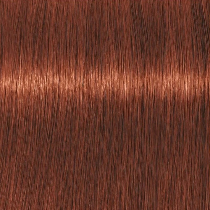 Schwarzkopf Professional Igora Vibrance Kit 6-78 Dark Blonde Copper Red in de groep BEAUTY & HEALTH / Haar & Styling / Haarverzorging / Haarverf / Haarverf & Kleurbommen bij TP E-commerce Nordic AB (C62325)