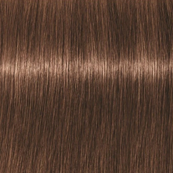 Schwarzkopf Professional Igora Vibrance Kit 6-6 Dark Blonde Chocolate in de groep BEAUTY & HEALTH / Haar & Styling / Haarverzorging / Haarverf / Haarverf & Kleurbommen bij TP E-commerce Nordic AB (C62326)