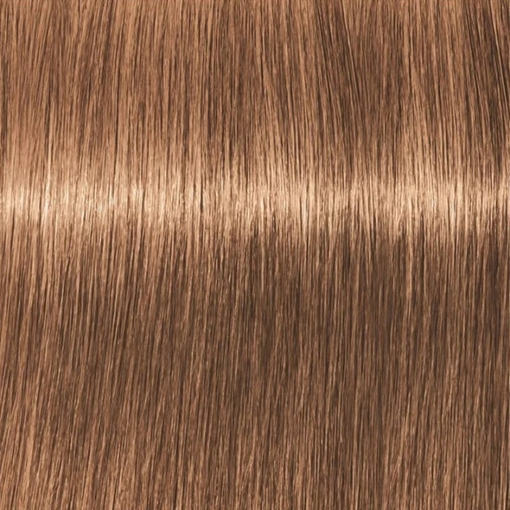 Schwarzkopf Professional Igora Vibrance Kit 7-65 Medium Blonde Chocolate Gold in de groep BEAUTY & HEALTH / Haar & Styling / Haarverzorging / Haarverf / Haarverf & Kleurbommen bij TP E-commerce Nordic AB (C62334)