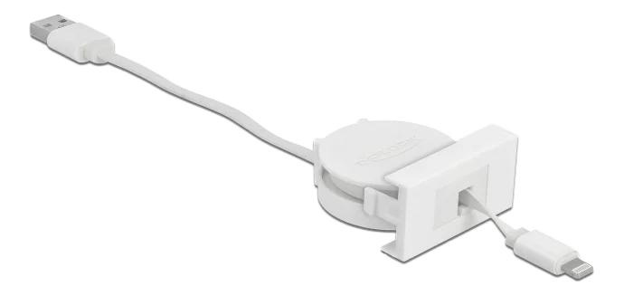 DeLOCK Easy 45 Module USB 2.0 Cable USB Type-A to 8 Pin Lightning in de groep SMARTPHONE & TABLETS / Opladers & Kabels / Adapters bij TP E-commerce Nordic AB (C70659)