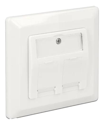 DeLOCK Keystone Wall Outlet 2 Port in de groep COMPUTERS & RANDAPPARATUUR / Computerkabels / Netwerkkabels / Adapters & Geleiderverbindingen bij TP E-commerce Nordic AB (C70737)