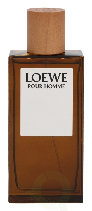 Loewe Pour Homme Edt Spray 100 ml in de groep BEAUTY & HEALTH / Geuren & Parfum / Parfum / Parfum voor hem bij TP E-commerce Nordic AB (C72606)