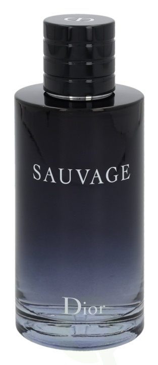 Dior Sauvage Edt Spray 200 ml in de groep BEAUTY & HEALTH / Geuren & Parfum / Parfum / Parfum voor hem bij TP E-commerce Nordic AB (C72705)