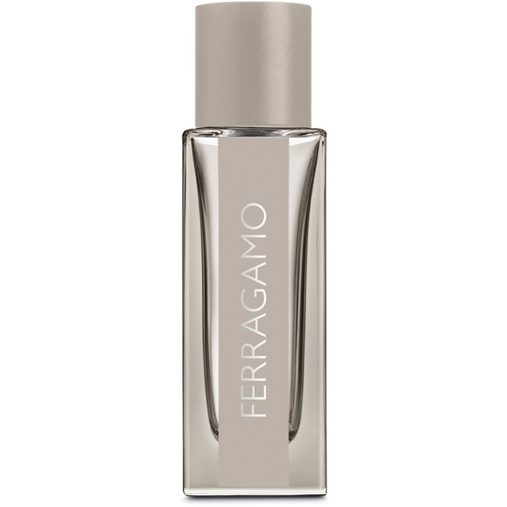 Salvatore Ferragamo Bright Leather Edt 30ml in de groep BEAUTY & HEALTH / Geuren & Parfum / Parfum / Parfum voor hem bij TP E-commerce Nordic AB (C74732)