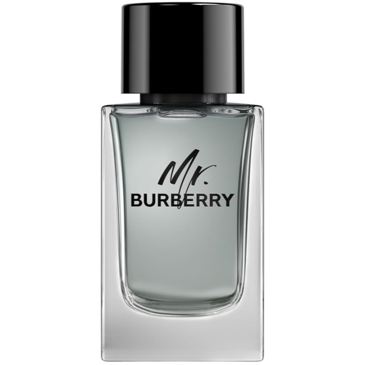 Burberry Mr Burberry Edt 100ml in de groep BEAUTY & HEALTH / Geuren & Parfum / Parfum / Parfum voor hem bij TP E-commerce Nordic AB (C74760)