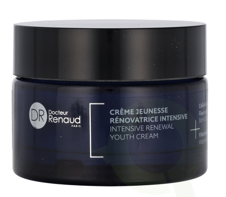 Dr. Renaud Intensive Renewal Youth Cream 50 ml in de groep BEAUTY & HEALTH / Huidsverzorging / Gezicht / Gezichtscrèmes bij TP E-commerce Nordic AB (C75014)