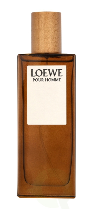 Loewe Pour Homme Edt Spray 50 ml in de groep BEAUTY & HEALTH / Geuren & Parfum / Parfum / Parfum voor hem bij TP E-commerce Nordic AB (C76878)