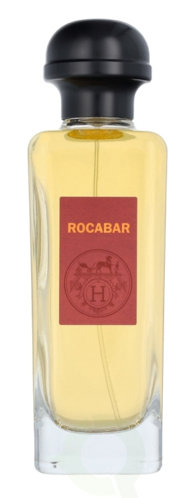 Hermes Rocabar Edt Spray 100 ml in de groep BEAUTY & HEALTH / Geuren & Parfum / Parfum / Parfum voor hem bij TP E-commerce Nordic AB (C77025)