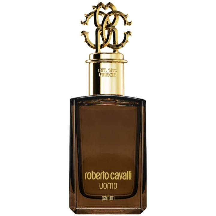 Roberto Cavalli Uomo Edp 100ml in de groep BEAUTY & HEALTH / Geuren & Parfum / Parfum / Parfum voor hem bij TP E-commerce Nordic AB (C78983)