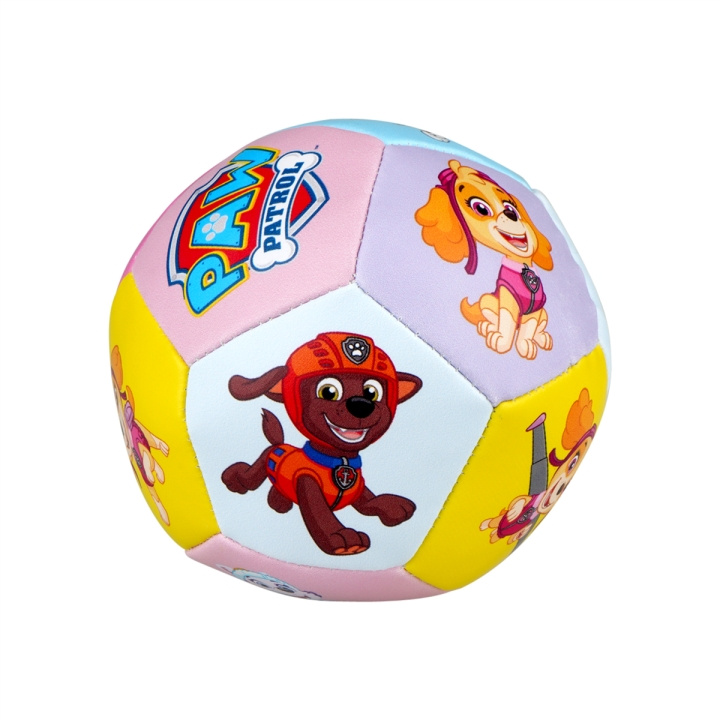 Barbo Toys Zachte Bal Paw Patrol Roze in de groep SPEELGOED, KINDER- & BABYPRODUCTEN / Babyspeelgoed / Activiteitenspeelgoed bij TP E-commerce Nordic AB (C79822)