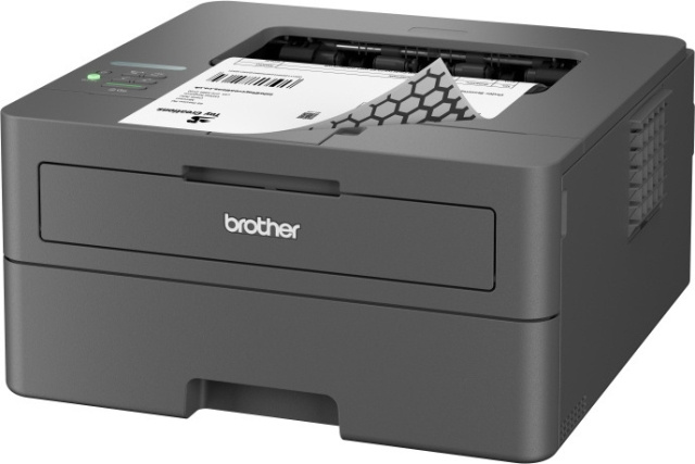 Brother HL-L2400DW zwart-wit laserprinter in de groep COMPUTERS & RANDAPPARATUUR / Printers & Accessoires / Printers / Inkjetprinters bij TP E-commerce Nordic AB (C80412)