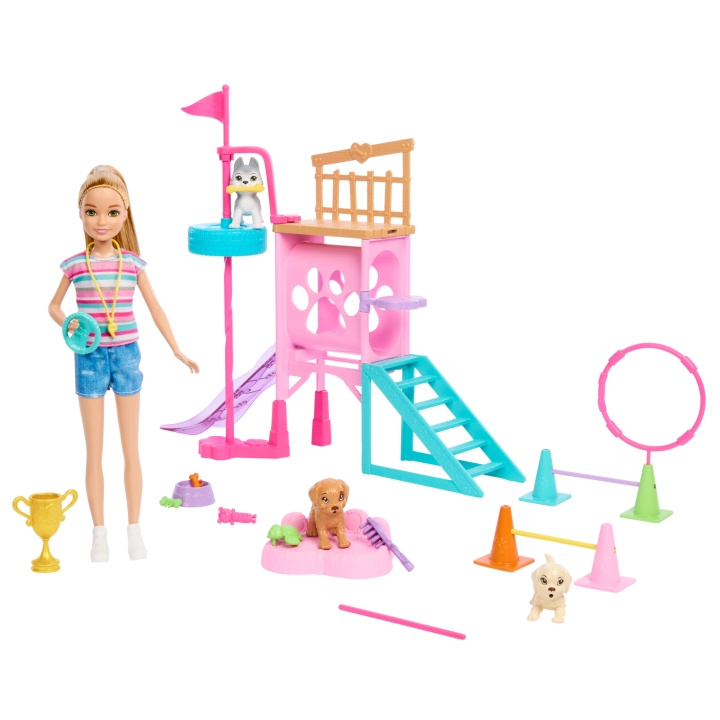 Barbie Stacie\'s Puppy Speelset (HRM10) in de groep SPEELGOED, KINDER- & BABYPRODUCTEN / Speelgoed / Docks & Accessoires bij TP E-commerce Nordic AB (C80818)