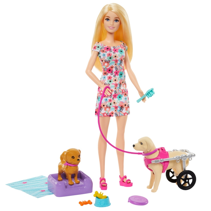 Barbie Loop en Wiel Speelset voor Gezelschapsdieren (HTK37) in de groep SPEELGOED, KINDER- & BABYPRODUCTEN / Speelgoed / Docks & Accessoires bij TP E-commerce Nordic AB (C80821)