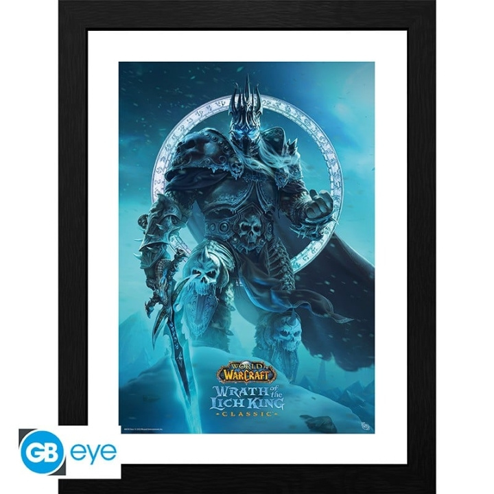 Abysse WORLD OF WARCRAFT - Ingelijste print Lich King (30x40) in de groep SPORT, VRIJE TIJD & HOBBY / Leuke dingen / Leuke dingen bij TP E-commerce Nordic AB (C82537)