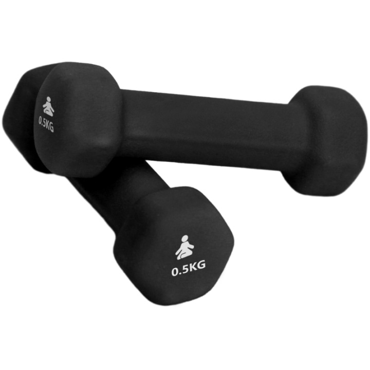 Fitpaddy Premium Dumbbells 2 x 0.5 kg in de groep SPORT, VRIJE TIJD & HOBBY / Oefen materiaal / Training-accessoires bij TP E-commerce Nordic AB (C82840)