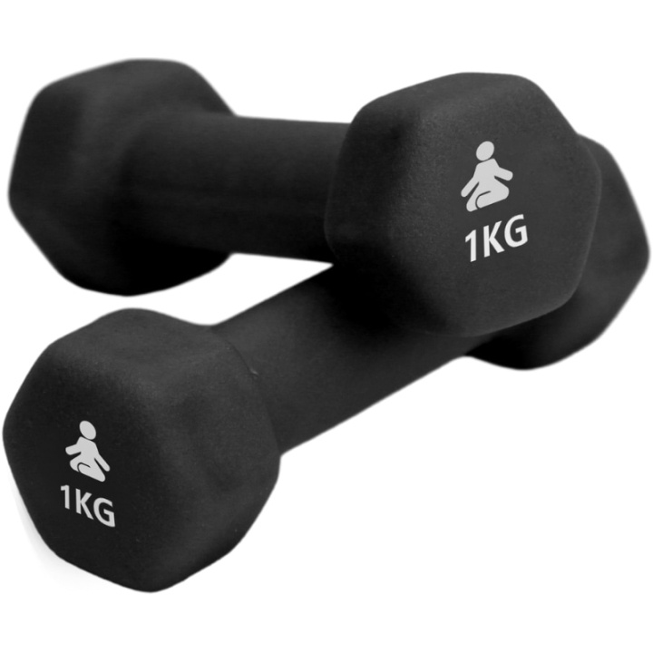 Fitpaddy Premium Dumbbells 2 x 1 kg in de groep SPORT, VRIJE TIJD & HOBBY / Oefen materiaal / Training-accessoires bij TP E-commerce Nordic AB (C82841)