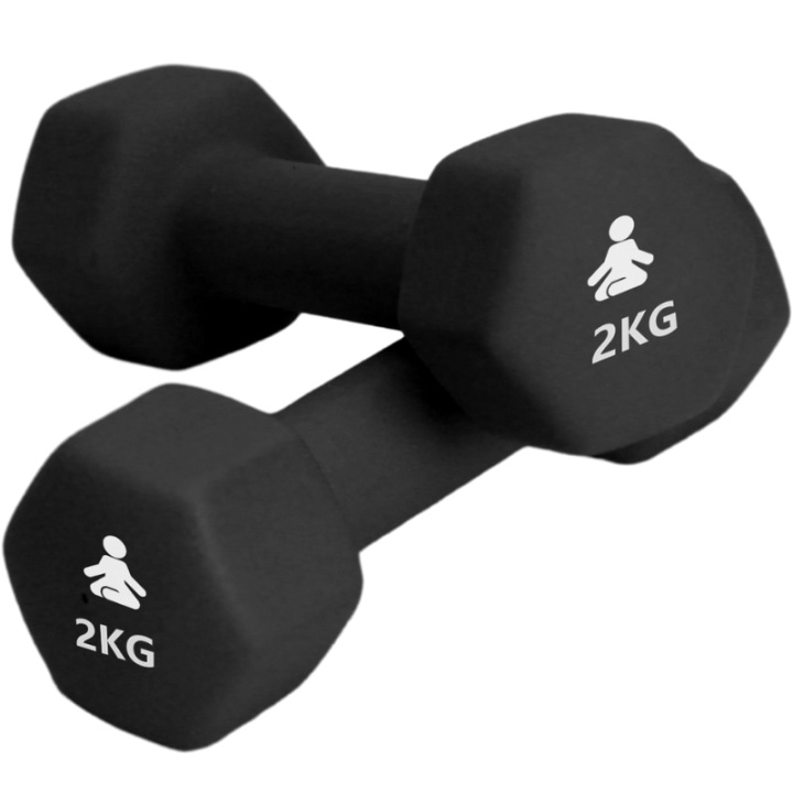 Fitpaddy Premium Dumbbells 2 x 2 kg in de groep SPORT, VRIJE TIJD & HOBBY / Oefen materiaal / Training-accessoires bij TP E-commerce Nordic AB (C82842)