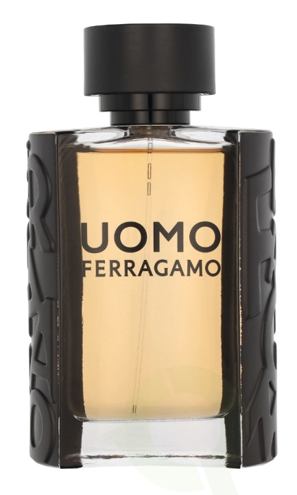 Ferragamo S. Ferragamo Uomo Pour Homme Edt Spray 100 ml in de groep BEAUTY & HEALTH / Geuren & Parfum / Parfum / Parfum voor hem bij TP E-commerce Nordic AB (C82920)