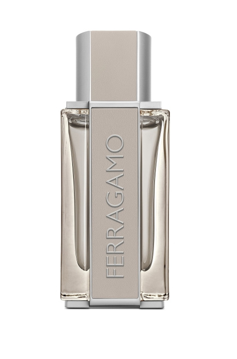 Salvatore Ferragamo Bright Leather EDT 50 ml in de groep BEAUTY & HEALTH / Geuren & Parfum / Parfum / Parfum voor hem bij TP E-commerce Nordic AB (C84876)