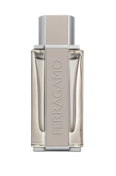 Salvatore Ferragamo Helder Leer EDT 100 ml in de groep BEAUTY & HEALTH / Geuren & Parfum / Parfum / Parfum voor hem bij TP E-commerce Nordic AB (C84877)