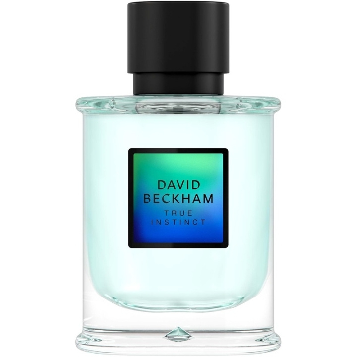 David Beckham True Instinct Edp 75ml in de groep BEAUTY & HEALTH / Geuren & Parfum / Parfum / Parfum voor hem bij TP E-commerce Nordic AB (C84934)