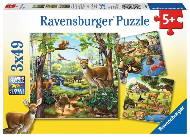 Ravensburger Bos/dierentuin/dieren - 3x49p - 09265 in de groep SPEELGOED, KINDER- & BABYPRODUCTEN / Speelgoed / Puzzels bij TP E-commerce Nordic AB (C85776)