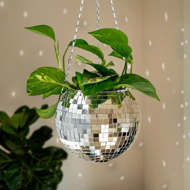 MikaMax FUNKY DISCO PLANTENBAK in de groep SPORT, VRIJE TIJD & HOBBY / Leuke dingen / Leuke dingen bij TP E-commerce Nordic AB (C85828)