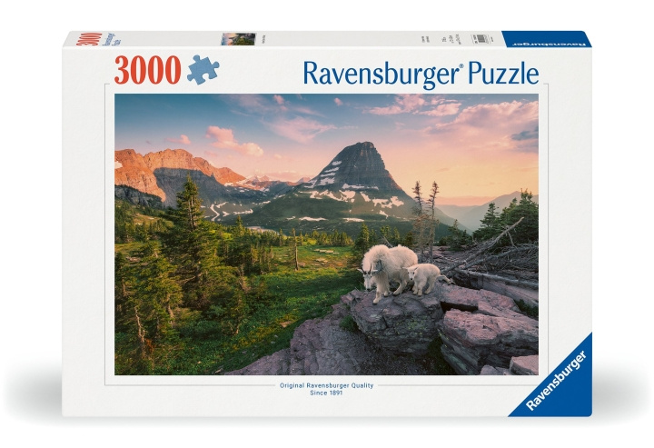 Ravensburger Puzzel Foto Stadslandschap 3000p (12000809) in de groep SPEELGOED, KINDER- & BABYPRODUCTEN / Speelgoed / Puzzels bij TP E-commerce Nordic AB (C86133)