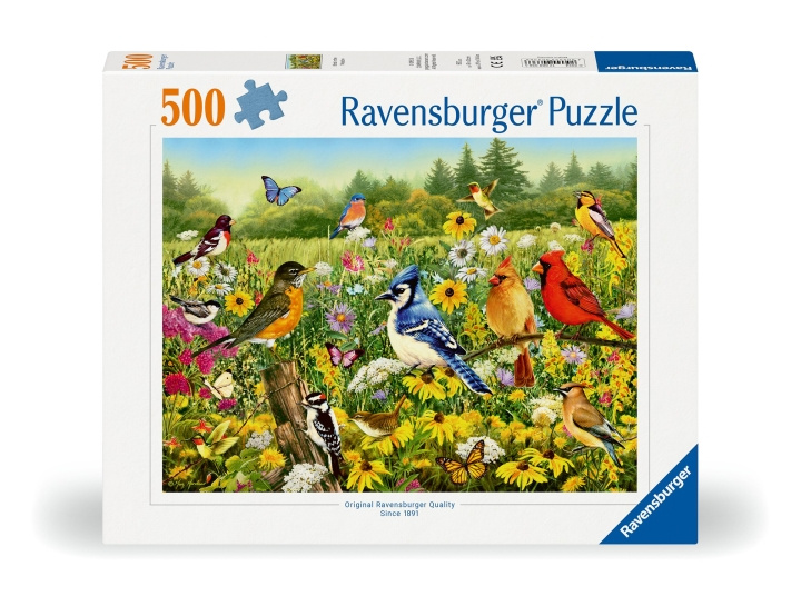 Ravensburger Puzzel Vogels in de wei 500p (12000336) in de groep SPORT, VRIJE TIJD & HOBBY / Hobby / Puzzel bij TP E-commerce Nordic AB (C86444)