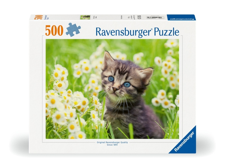 Ravensburger Puzzel Kitten In De Weide 500p (12000367) in de groep SPEELGOED, KINDER- & BABYPRODUCTEN / Speelgoed / Puzzels bij TP E-commerce Nordic AB (C86450)