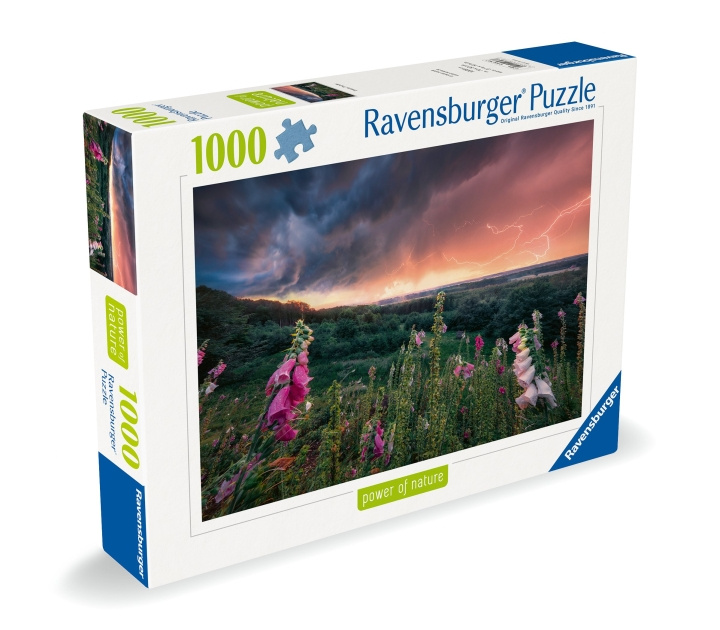 Ravensburger Puzzel Dreamy Thunder 1000p (12000793) in de groep SPEELGOED, KINDER- & BABYPRODUCTEN / Speelgoed / Puzzels bij TP E-commerce Nordic AB (C86531)