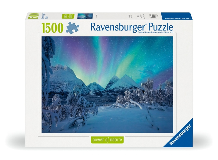 Ravensburger Puzzel De Arctic Show 1500p (12000802) in de groep SPEELGOED, KINDER- & BABYPRODUCTEN / Speelgoed / Puzzels bij TP E-commerce Nordic AB (C86537)